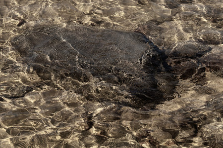 Shiny transparent water. clear water with pebbles and stone on the bottom. shining reflections of...