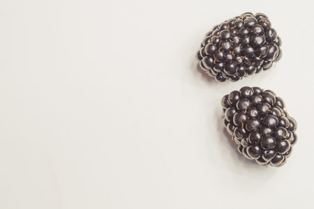 Blackberries isolated on white background. fresh berries with copy space