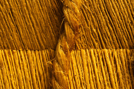 Rough wood macro texture. brown wooden material background