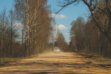 Car moving on the offroad way through the forest