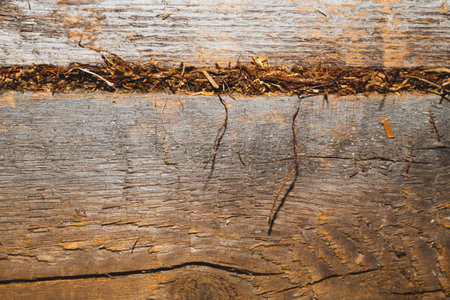 Old wood background. wooden texture