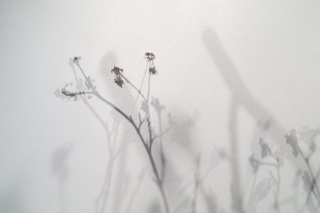 japan style background. silhouette of branches behind a curtain