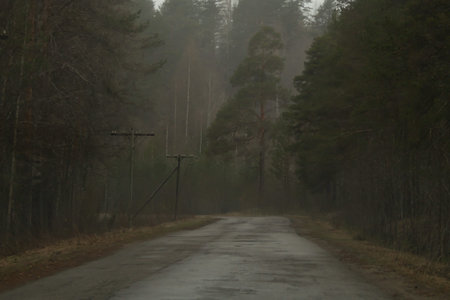 Country road through the forest in foggy overcast day
