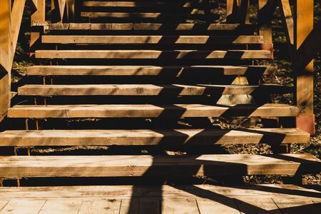 Wooden staircase in the park. stairway made from the wood in the forestの写真素材