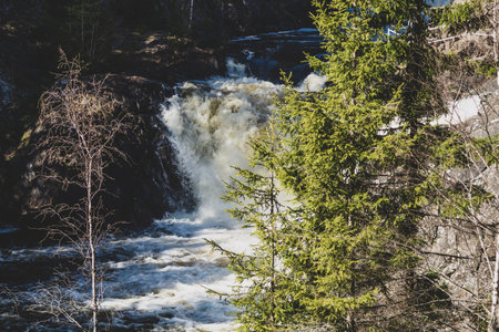 Waterfall nature background. rushing stream water. rocky flowing riverの写真素材