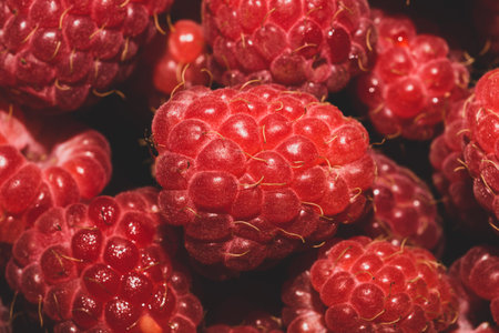 Fresh raspberry close up. ripe raspberries. red berry macro background