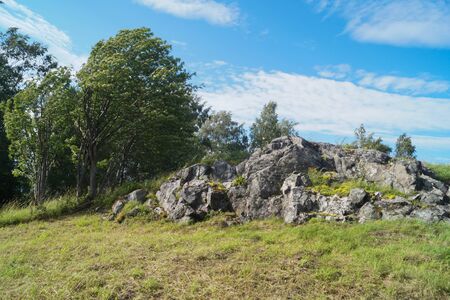 Strong wind in nature landscape. wind bends tree. sunny landscape with blue sky in windy day. stones and plantsの写真素材