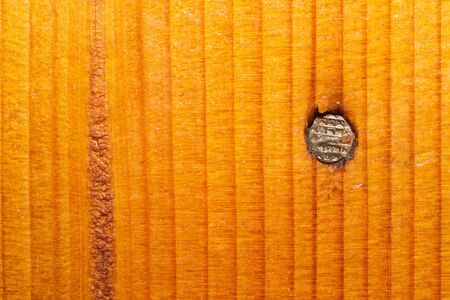 Nail in a wooden wall close up. brown wood textureの写真素材