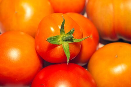 Tomatoes background. organic vegetables. healthy food vegetarian nutritionの写真素材