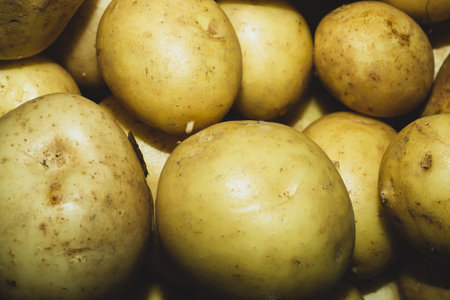 Fresh young potatoes. raw vegetables. healthy nutrition. vegetarian foodの写真素材