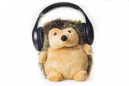 Plush hedgehog in the headphones. soft toy on a white background. listening to music conceptの写真素材
