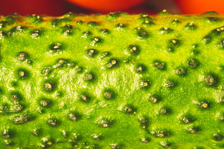 Cucumber texture close up. fresh vegetablesの写真素材