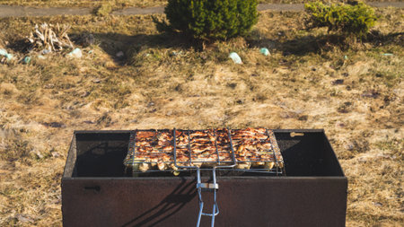 Grilled meat. barbeque on metal grille. picnic with bbq. outdoor cooking