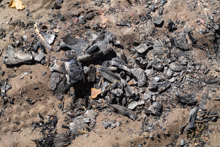 Ash and coal after bonfire. small twigs. place for fire