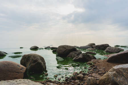 Boulders in green water with blooming algae in the seaの写真素材