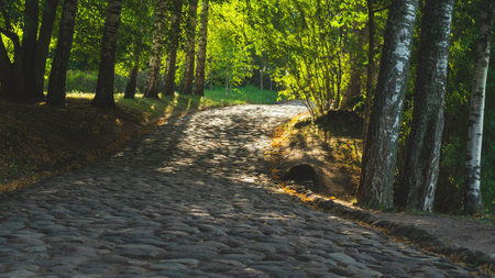 Stone paved path in the park. forest landscape. cobblestone walkwayの写真素材