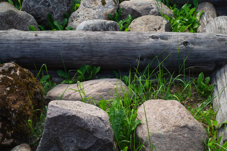 Logs, stones and grass. environmental materialsの写真素材