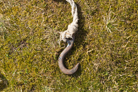 Rusty metal hook with rope lies on the green grassの写真素材