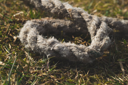 Old rope lies on the green grass. marine equipmentの写真素材