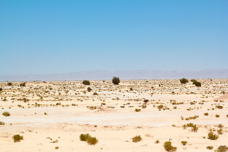 Sandy desertの写真素材