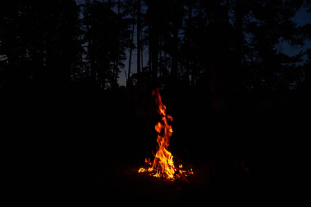 campfire in the woods in the dark. Outdoor recreation in field conditions. Test for survival in the...