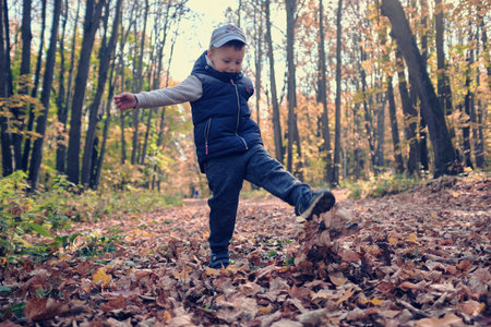 little boy kicks leaves with his foot in autumn forest