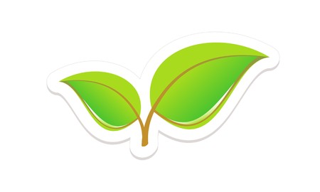 Green Leaves Isolated on Whiteのイラスト素材