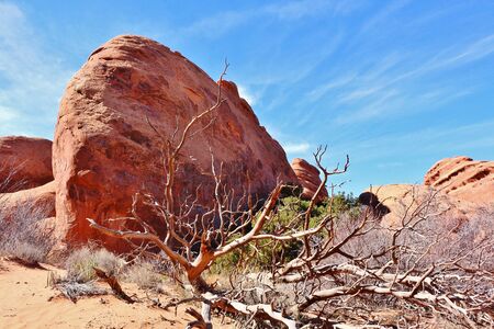 Stunning Arches National Park with impressive sandstone rock formationsの写真素材