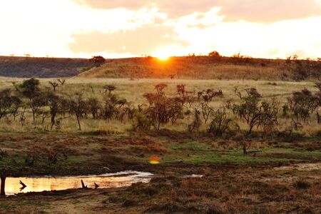 Beautiful Sunset over the savannaの写真素材