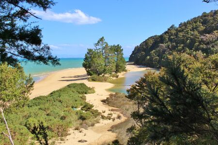 Magnificent Apple Tree Bay with Pines on the Beach in Abel Tasman National Parkの写真素材