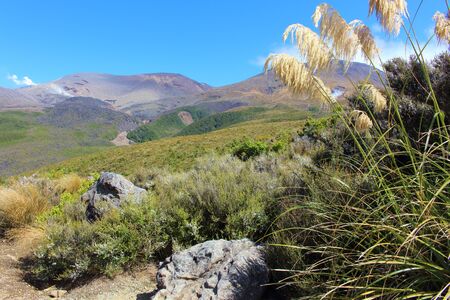 Beautiful Landscape along Tongariro Alpine Crossing in New Zealandの写真素材