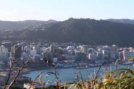 Great Panorama of Wellington in New Zealandの写真素材