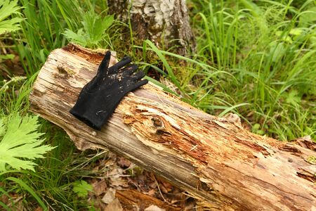 social problems in the woods, Lost and found-an old black glove in the woods, pollution of nature by discarded clothing, joke with a glove in the open airの写真素材