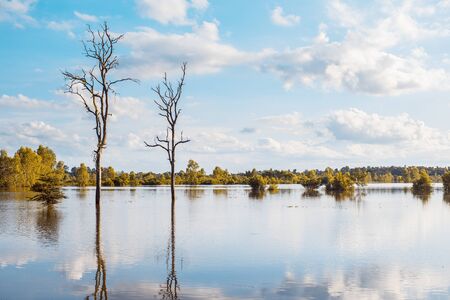 Clear water lake with reflections of trees during sunset time, Copy-spaceの写真素材