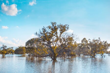 Clear water lake with reflections of trees during sunset time, Copy-spaceの写真素材