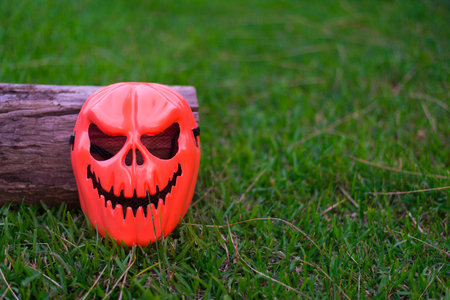 Devil mask is placed with old timber on the lawn, Copy-space