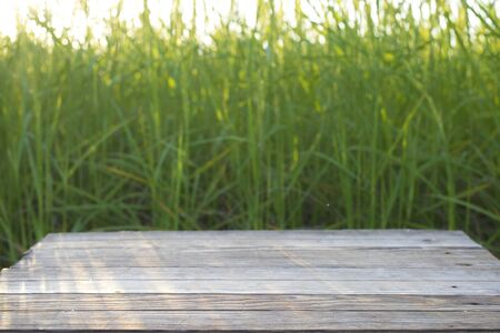 Wooden table in rice field, Wooden board empty table top, Focus on front of table
の写真素材