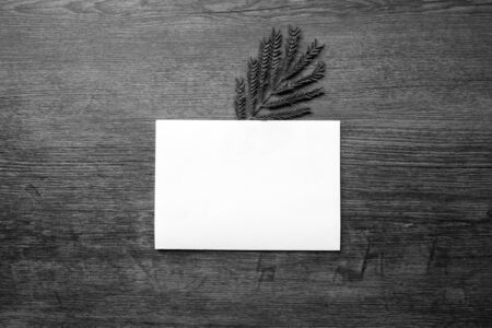 Paper and leaves placed on the table, Black and white minimalist concept, Copy-space.の写真素材