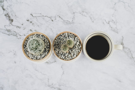 Cactus and coffee cup, Arranged on the table, Minimal concept.