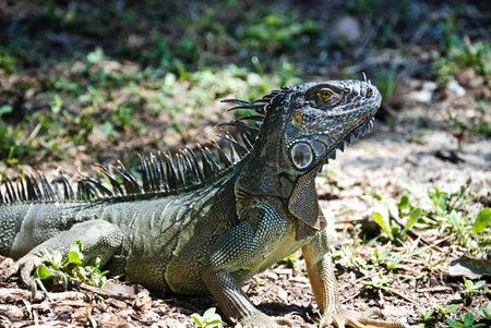 Non siamo soliの写真素材