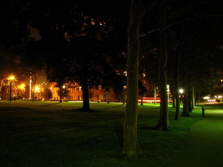 Night parkの写真素材