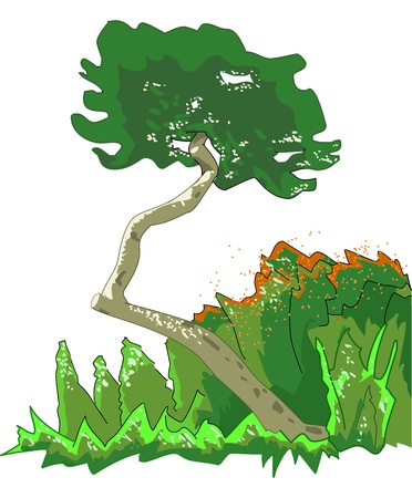 Tree into a nice sunny dayの写真素材