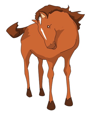 A so fast and beauty brown horseの写真素材