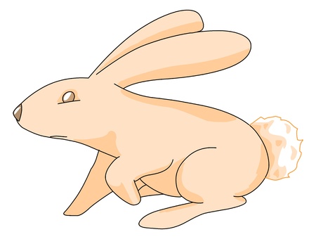 A very sweet pink rabbitの写真素材