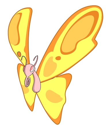 A pink and very sweet butterflyの写真素材