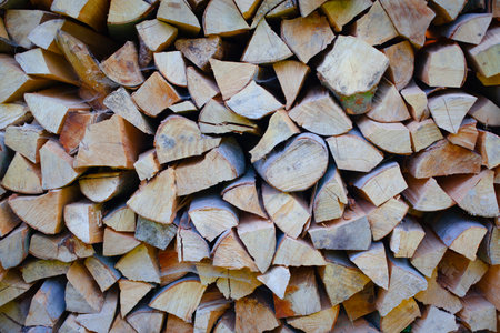 A stack of firewood for the winterの写真素材