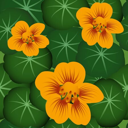 Seamless floral pattern with nasturtium on dark green backgroundのイラスト素材