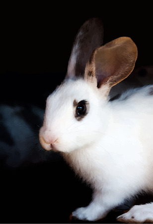 Watercolor brown  and white bunny portrait with black eyes.のイラスト素材