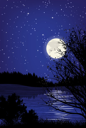 Beautiful minimalistic mountain view landscape by night.のイラスト素材