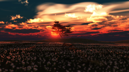 Magical sunrise with tree and a great sky. 3d Renderingの写真素材